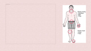 The picture can't be displayed.
 