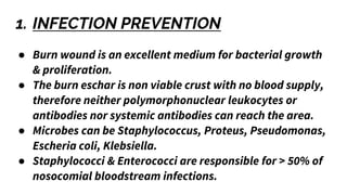 1. INFECTION PREVENTION
● Burn wound is an excellent medium for bacterial growth
& proliferation.
● The burn eschar is non viable crust with no blood supply,
therefore neither polymorphonuclear leukocytes or
antibodies nor systemic antibodies can reach the area.
● Microbes can be Staphylococcus, Proteus, Pseudomonas,
Escheria coli, Klebsiella.
● Staphylococci & Enterococci are responsible for > 50% of
nosocomial bloodstream infections.
 