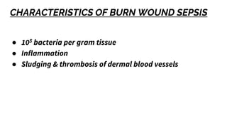 CHARACTERISTICS OF BURN WOUND SEPSIS
● 105 bacteria per gram tissue
● Inflammation
● Sludging & thrombosis of dermal blood vessels
 