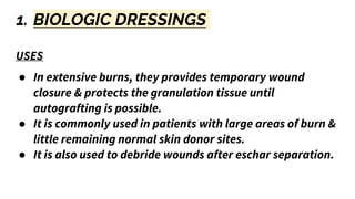1. BIOLOGIC DRESSINGS
USES
● In extensive burns, they provides temporary wound
closure & protects the granulation tissue until
autografting is possible.
● It is commonly used in patients with large areas of burn &
little remaining normal skin donor sites.
● It is also used to debride wounds after eschar separation.
 