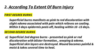 2. According To Extent Of Burn Injury
FIRST DEGREE BURNS
Superficial burns manifests as pink to red discoloration with
slight edema associated with pain which relieves on cooling.
Within 5 days epidermis peels off, healing within 10 -15 days.
SECOND DEGREE BURNS
a) Superficial 2nd degree burns - presented as pink or red
discoloration with blister formation., weeping & edema.
Superficial skin layers are destroyed. Wound becomes painful &
moist & takes several time to heal.
 