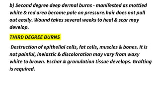 b) Second degree deep dermal burns - manifested as mottled
white & red area become pale on pressure.hair does not pull
out easily. Wound takes several weeks to heal & scar may
develop.
THIRD DEGREE BURNS
Destruction of epithelial cells, fat cells, muscles & bones. It is
not painful, inelastic & discoloration may vary from waxy
white to brown. Eschar & granulation tissue develops. Grafting
is required.
 