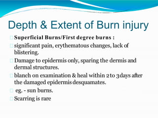 Depth & Extent of Burn injury
Superficial Burns/First degree burns :
significant pain, erythematous changes, lack of
blistering.
Damage to epidermis only, sparing the dermis and
dermal structures.
blanch on examination & heal within 2to 3days after
the damaged epidermisdesquamates.
eg. - sun burns.
Scarring is rare
 