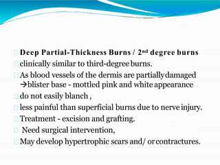 Deep Partial-Thickness Burns / 2nd degree burns
clinically similar to third-degreeburns.
As blood vessels of the dermis are partiallydamaged
blister base - mottled pink and white appearance
do not easily blanch ,
less painful than superficial burns due to nerveinjury.
Treatment - excision and grafting.
Need surgical intervention,
May develop hypertrophic scars and/ orcontractures.
 