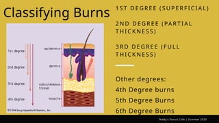 Burns Classification and Evaluation.pptx