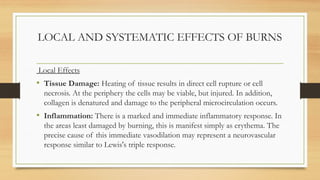 LOCAL AND SYSTEMATIC EFFECTS OF BURNS
Local Effects
• Tissue Damage: Heating of tissue results in direct cell rupture or cell
necrosis. At the periphery the cells may be viable, but injured. In addition,
collagen is denatured and damage to the peripheral microcirculation occurs.
• Inflammation: There is a marked and immediate inflammatory response. In
the areas least damaged by burning, this is manifest simply as erythema. The
precise cause of this immediate vasodilation may represent a neurovascular
response similar to Lewis's triple response.
 