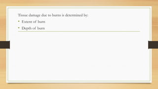 .
Tissue damage due to burns is determined by:
• Extent of burn
• Depth of burn
 