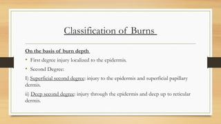 Classification of Burns
On the basis of burn depth
• First degree injury localized to the epidermis.
• Second Degree:
I) Superficial second degree: injury to the epidermis and superficial papillary
dermis.
ii) Deep second degree: injury through the epidermis and deep up to reticular
dermis.
 