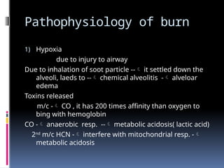 BURNS.pptx in fmt very good topics and by rashmi sharma | PPTX