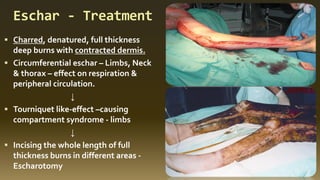 Eschar - Treatment
▪ Charred, denatured, full thickness
deep burns with contracted dermis.
▪ Circumferential eschar – Limbs, Neck
& thorax – effect on respiration &
peripheral circulation.
↓
▪ Tourniquet like-effect –causing
compartment syndrome - limbs
↓
▪ Incising the whole length of full
thickness burns in different areas -
Escharotomy
 