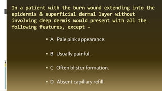 In a patient with the burn wound extending into the
epidermis & superficial dermal layer without
involving deep dermis would present with all the
following features, except –
▪ A Pale pink appearance.
▪ B Usually painful.
▪ C Often blister formation.
▪ D Absent capillary refill.
 