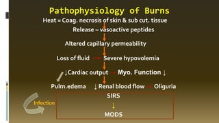 Heat = Coag. necrosis of skin & sub cut. tissue
Release – vasoactive peptides
Altered capillary permeability
Loss of fluid → Severe hypovolemia
↓Cardiac output → Myo. Function ↓
Pulm.edema ↓ Renal blood flow → Oliguria
SIRS
↓
MODS
Pathophysiology of Burns
Infection
 