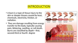 Comprehensive Nursing Guide to Burn Injuries: Causes, Classification ...