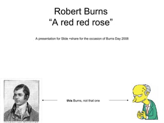 Robert Burns “A red red rose” A presentation for Slide +share for the occasion of Burns Day 2008 this  Burns,  not that one 