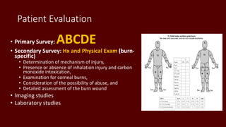 Patient Evaluation
• Primary Survey: ABCDE
• Secondary Survey: Hx and Physical Exam (burn-
specific)
• Determination of mechanism of injury,
• Presence or absence of inhalation injury and carbon
monoxide intoxication,
• Examination for corneal burns,
• Consideration of the possibility of abuse, and
• Detailed assessment of the burn wound
• Imaging studies
• Laboratory studies
 