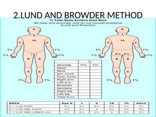 2.LUND AND BROWDER METHOD
 