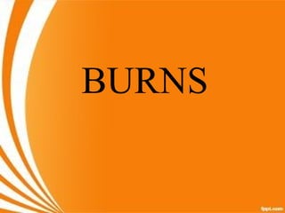 BURNS
 