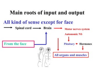 Main roots of input and output
All kind of sense except for face
      Spinal cord   Brain          Motor nerves system
                                   Autonomic NS


From the face                     Pituitary   Hormones


                            All organs and muscles
 