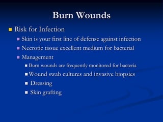 Burn Wounds
 Risk for Infection
 Skin is your first line of defense against infection
 Necrotic tissue excellent medium for bacterial
 Management
 Burn wounds are frequently monitored for bacteria
 Wound swab cultures and invasive biopsies
 Dressing
 Skin grafting
 