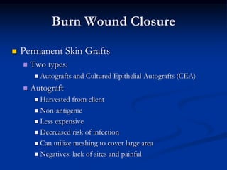 Burn Wound Closure
 Permanent Skin Grafts
 Two types:
 Autografts and Cultured Epithelial Autografts (CEA)
 Autograft
 Harvested from client
 Non-antigenic
 Less expensive
 Decreased risk of infection
 Can utilize meshing to cover large area
 Negatives: lack of sites and painful
 