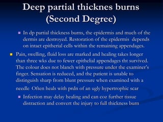 Deep partial thicknes burns
(Second Degree)
 In dp partial thickness burns, the epidermis and much of the
dermis are destroyed. Restoration of the epidermis depends
on intact epitherial cells within the remaining appendages.
 Pain, swelling, fluid loss are marked and healing takes longer
than three wks due to fewer epithelial appendages tht survived.
The colour does not blanch with pressure under the examiner’s
finger. Sensation is reduced, and the patient is unable to
distinguish sharp from blunt pressure when examined with a
needle. Often heals with prdn of an ugly hypertrophic scar
 Infection may delay healing and can coz further tissue
distraction and convert the injury to full thickness burn
 