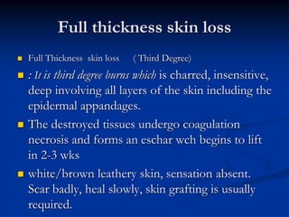 Full thickness skin loss
 Full Thickness skin loss ( Third Degree)
 : It is third degree burns which is charred, insensitive,
deep involving all layers of the skin including the
epidermal appandages.
 The destroyed tissues undergo coagulation
necrosis and forms an eschar wch begins to lift
in 2-3 wks
 white/brown leathery skin, sensation absent.
Scar badly, heal slowly, skin grafting is usually
required.
 