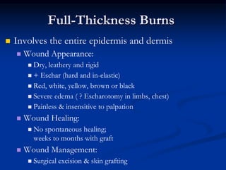 Full-Thickness Burns
 Involves the entire epidermis and dermis
 Wound Appearance:
 Dry, leathery and rigid
 + Eschar (hard and in-elastic)
 Red, white, yellow, brown or black
 Severe edema ( ? Escharotomy in limbs, chest)
 Painless & insensitive to palpation
 Wound Healing:
 No spontaneous healing;
weeks to months with graft
 Wound Management:
 Surgical excision & skin grafting
 
