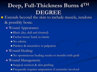Deep, Full-Thickness Burns 4TH
DEGREE
 Extends beyond the skin to include muscle, tendons
& possibly bone.
 Wound Appearance:
 Black (dry, dull and charred)
 Eschar tissue: hard, in-elastic
 No edema
 Painless & insensitive to palpation
 Wound Healing:
 No spontaneous healing; weeks to months with graft
 Wound Management:
 Surgical excision & skin grafting
 Frequently requires amputation if extremity involved
 