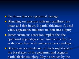  Erythema denotes epidermal damage
 Blanching on pressure indicates capillaries are
intact and that injury is partial thickness. A dead
white appearance indicates full thickness injury
 Intact cutaneous sensation implies that the
epidermal appendages have survived as they lie
at the same level with cutaneous nerve endings
 Blisters are accumulation of fluids superficial to
the basal layer of the epidermis and suggests
partial thickness injury. May be broken by the
 
