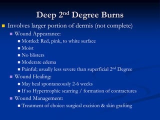 Deep 2nd Degree Burns
 Involves larger portion of dermis (not complete)
 Wound Appearance:
 Mottled: Red, pink, to white surface
 Moist
 No blisters
 Moderate edema
 Painful; usually less severe than superficial 2nd Degree
 Wound Healing:
 May heal spontaneously 2-6 weeks
 If so Hypertrophic scarring / formation of contractures
 Wound Management:
 Treatment of choice: surgical excision & skin grafting
 