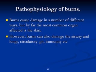 Pathophysiology of burns.
 Burns cause damage in a number of different
ways, but by far the most common organ
affected is the skin.
 However, burns can also damage the airway and
lungs, circulatory ,git, immunity etc
42
 