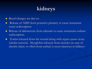 kidneys
 Renal changes are due to:
 Release of ADH from posterior pituitary to cause maximum
water reabsorption.
 Release of aldosterone from adrenals to cause maximum sodium
reabsorption.
 Toxins released from the wound along with sepsis causes acute
tubular necrosis. Myoglobin released from muscles (in case of
electric injury or often from eschar) is most injurious to kidneys
 