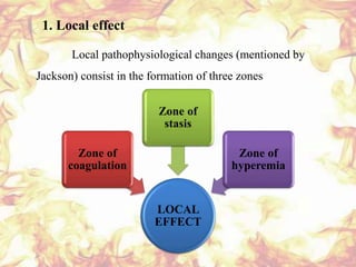 Local Effect Is Burns- unit - V IV Semester nursing Adult Health Nursing | PPTX