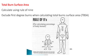 Tbsa Calculation BURNS in children and the management of burns | PPTX