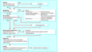 Burn Management Algorithm BURNS in children and the management of burns | PPTX