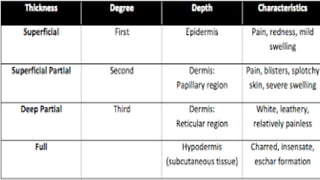 Comprehensive Overview of Burn Injuries: Types, Pathophysiology, and ...