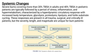 Comprehensive Overview of Burn Injuries: Types, Pathophysiology, and ...