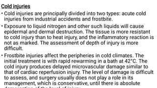 Comprehensive Overview of Burn Injuries: Types, Pathophysiology, and ...