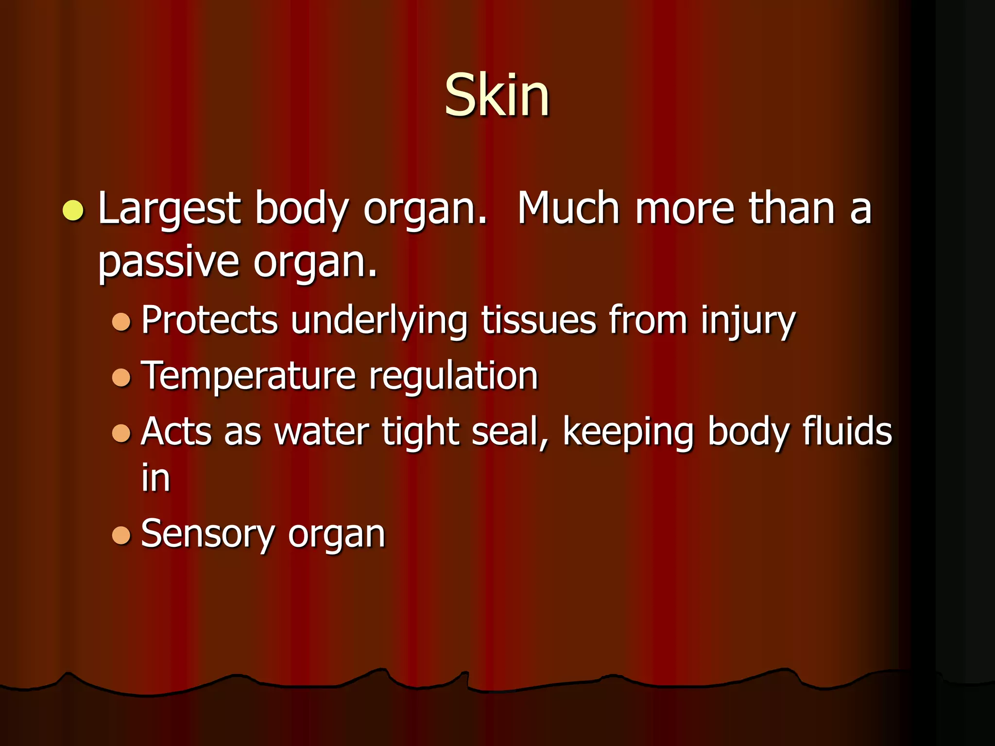 Skin
 Largest body organ. Much more than a
passive organ.
 Protects underlying tissues from injury
 Temperature regulation
 Acts as water tight seal, keeping body fluids
in
 Sensory organ
 