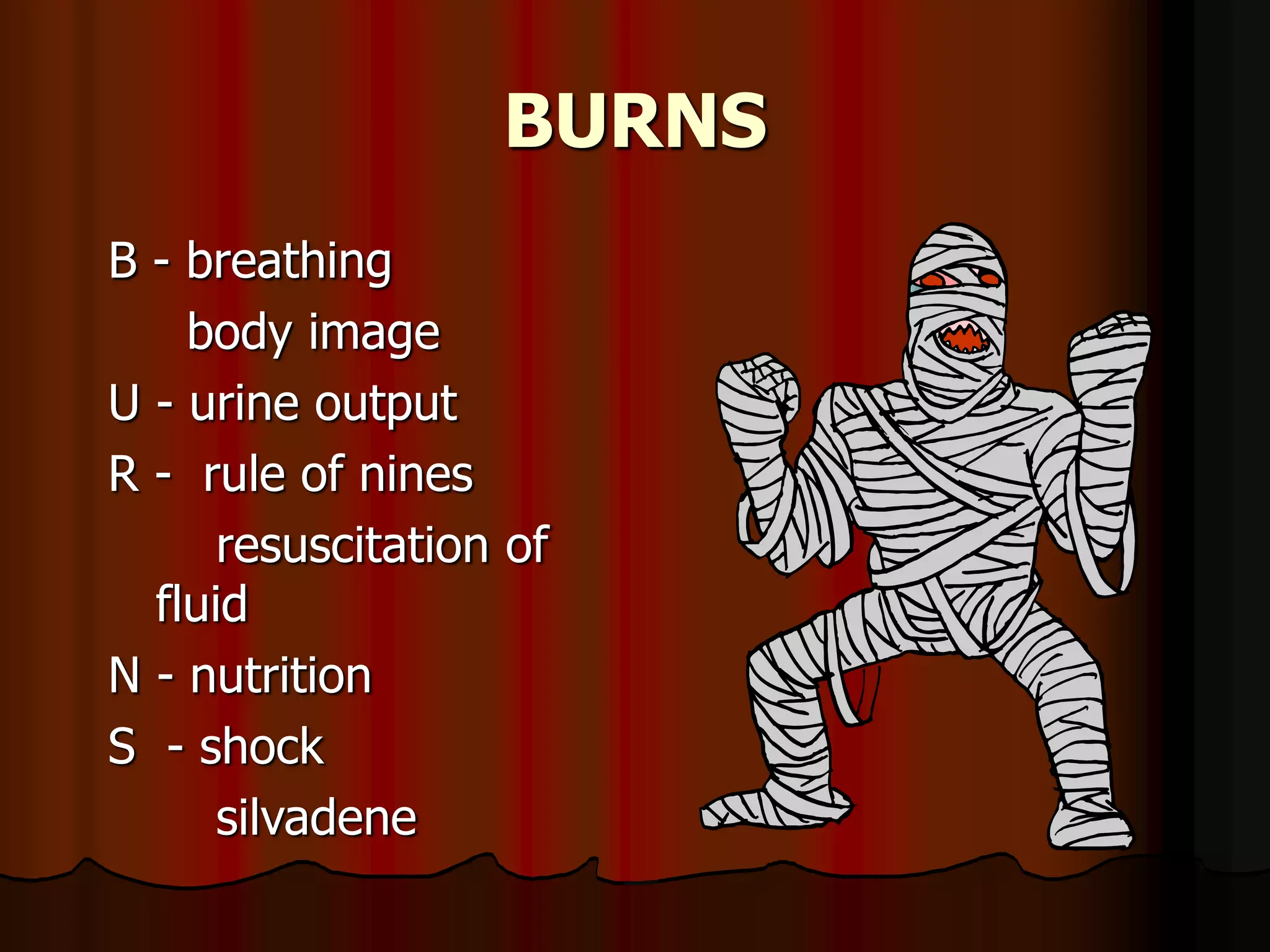 BURNS
B - breathing
body image
U - urine output
R - rule of nines
resuscitation of
fluid
N - nutrition
S - shock
silvadene
 