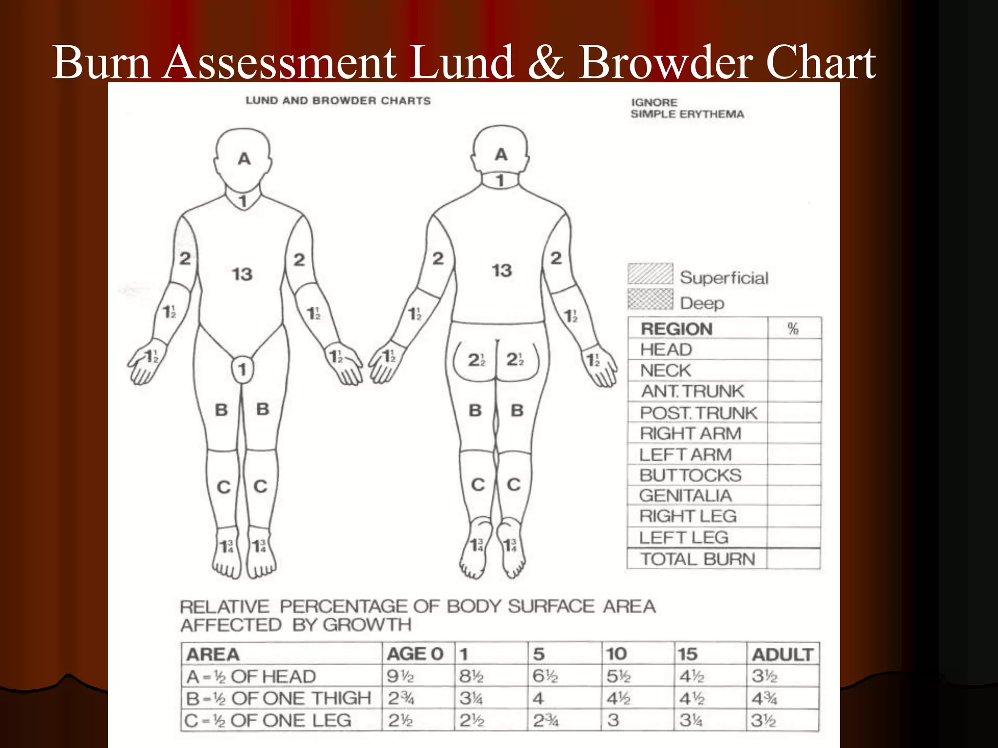 Burn Assessment Lund & Browder Chart
 