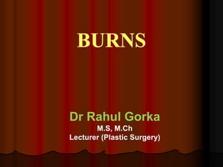 Dr Rahul Gorka
M.S, M.Ch
Lecturer (Plastic Surgery)
 