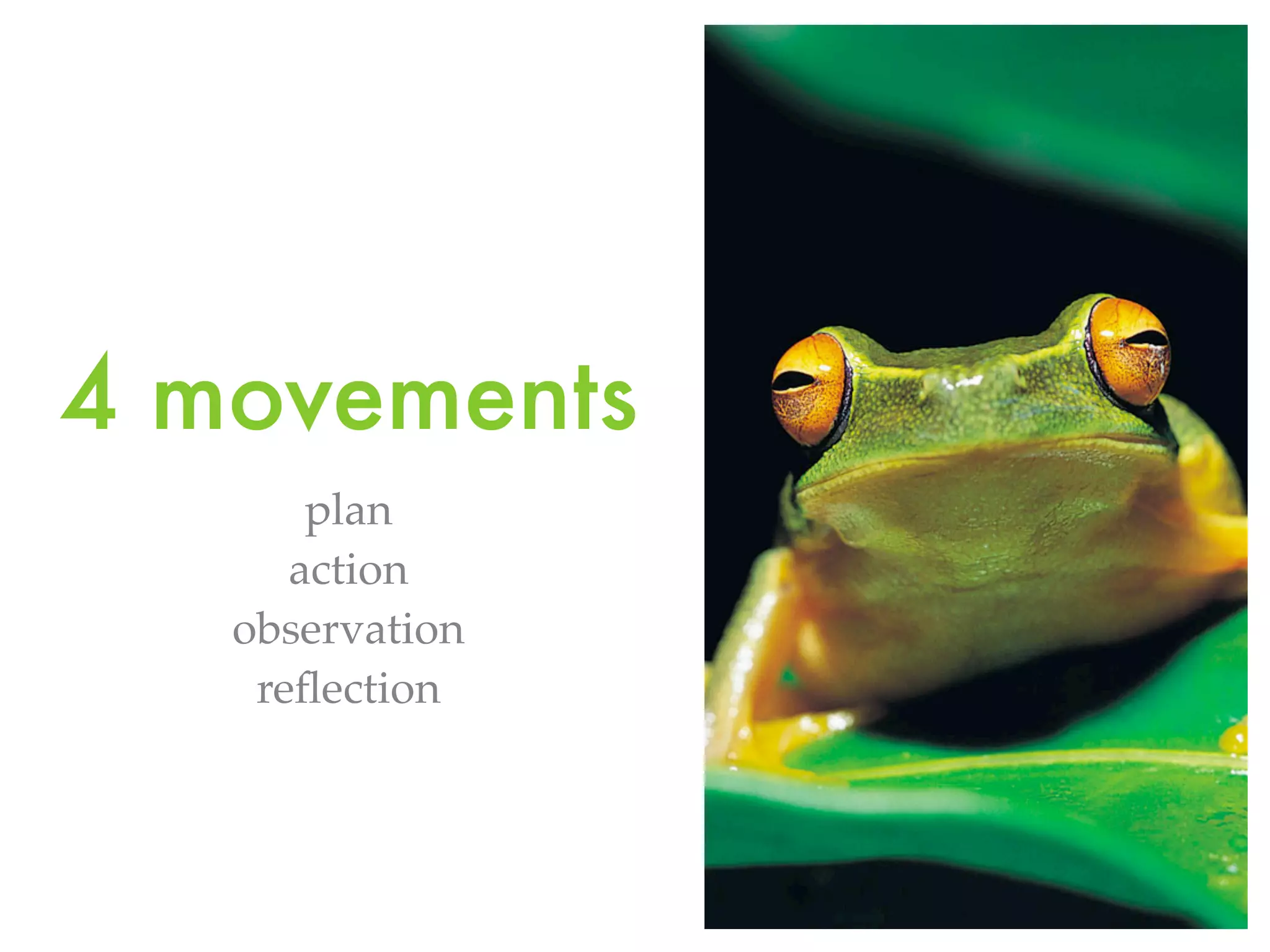 4 movements
plan
action
observation
reflection