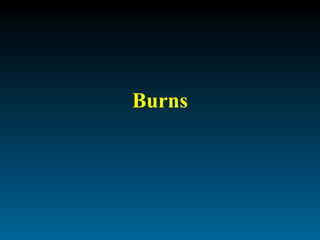 Burns 