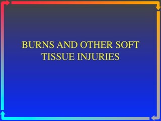 BURNS AND OTHER SOFT
   TISSUE INJURIES
 