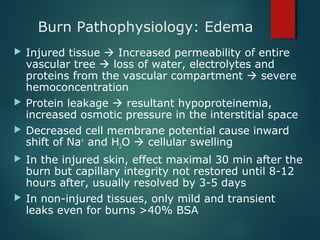 Burn Pathophysiology: Edema
 Injured tissue  Increased permeability of entire
vascular tree  loss of water, electrolytes and
proteins from the vascular compartment  severe
hemoconcentration
 Protein leakage  resultant hypoproteinemia,
increased osmotic pressure in the interstitial space
 Decreased cell membrane potential cause inward
shift of Na+
and H2O  cellular swelling
 In the injured skin, effect maximal 30 min after the
burn but capillary integrity not restored until 8-12
hours after, usually resolved by 3-5 days
 In non-injured tissues, only mild and transient
leaks even for burns >40% BSA
 