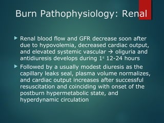 Burn Pathophysiology: Renal
 Renal blood flow and GFR decrease soon after
due to hypovolemia, decreased cardiac output,
and elevated systemic vascular  oliguria and
antidiuresis develops during 1st
12-24 hours
 Followed by a usually modest diuresis as the
capillary leaks seal, plasma volume normalizes,
and cardiac output increases after successful
resuscitation and coinciding with onset of the
postburn hypermetabolic state, and
hyperdynamic circulation
 