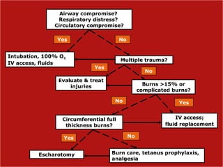 Airway compromise?
Respiratory distress?
Circulatory compromise?
Intubation, 100% O2
IV access, fluids
Multiple trauma?
Yes No
Evaluate & treat
injuries Burns >15% or
complicated burns?
Yes
No
Burn care, tetanus prophylaxis,
analgesia
IV access;
fluid replacement
Circumferential full
thickness burns?
Escharotomy
Yes
YesNo
No
 