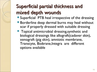 Superficial partial thickness andSuperficial partial thickness and
mixed depth woundsmixed depth wounds
Superficial PTB heal irrespective of the dressing
Borderline deep dermal burns may heal without
scar if properly dressed with suitable dressing
 Topical antimicrobial dressing,synthetic and
biological dressings like allograft(cadaver skin),
xenograft (pig skin), amniotic membrane,
Transcyte, Biobrane,Integra are different
options available
59
 
