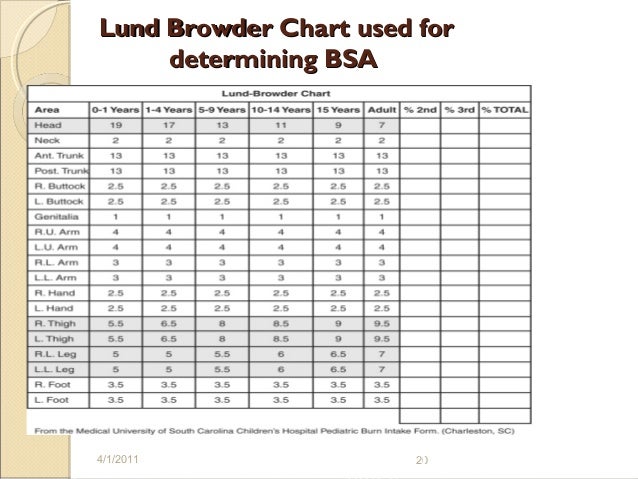 Lund And Browder Chart Explained